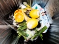 Blick in einen Mülleimer mit schimmeligen Zitronen und Orangenschalen