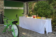 Zutisch 24 Smoothiebike