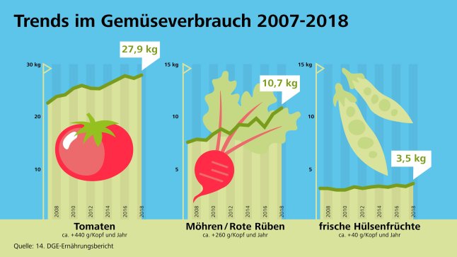 Grafische Darstellung der Trends im Gemüseverbrauch von 2007 - 2008