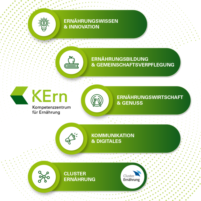 Das Organigramm des KErn visualisiert die Struktur unserer Behörde.