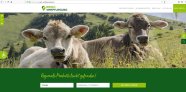 Abbildung der Webseite RegioVerpflegung auf der zwei liegende Kühe auf einer Almwiese zu sehen sind
