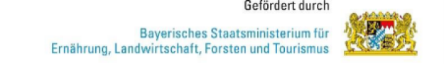 Logo StMELF