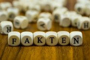 Würfel mit Buchstaben die zusammengestellt sind und das Wort Fakten ergeben