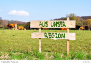 Schild mit Aufschrift Aus unserer Region auf Weide mit Kühen 