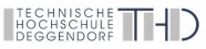 Logo Technische Hochschule Deggendorf