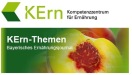 Logo KErn-Newsletter 