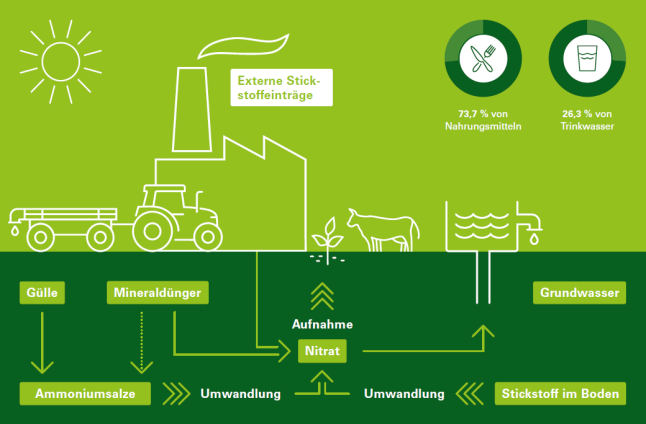 Grafische Darstellung des Stickstoffkreislaufs im Boden sowie der Nitrataufnahme