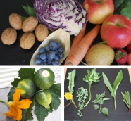 Bildcollage aus verschiedenen Gemüse-Fotos