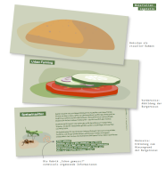 Grafik zum Inhalt der Lernkiste mit grünen Lebensmittelkarten und Erklärung