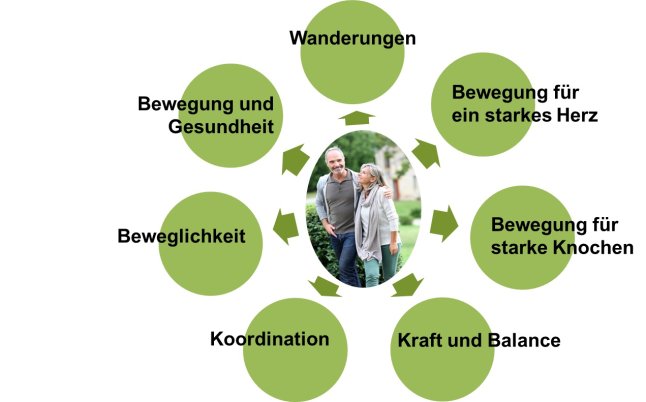 Grafik mit den verschiedenen Bewegungsschulungsangeboten für die Generation 55plus