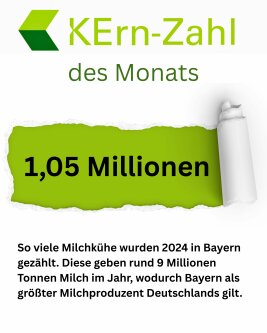 Zahl des Monats 0425 - jpg