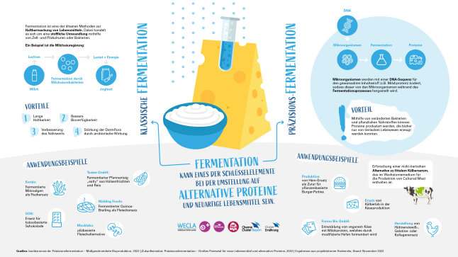 Fermentation_Infografik_WECLA
